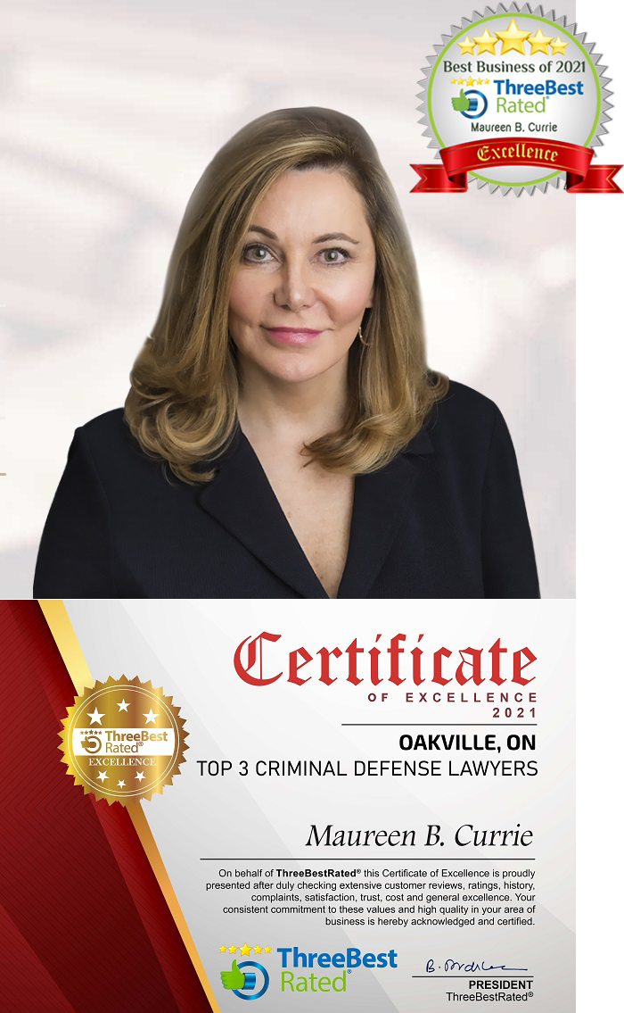 Civil Litigation Lawyer